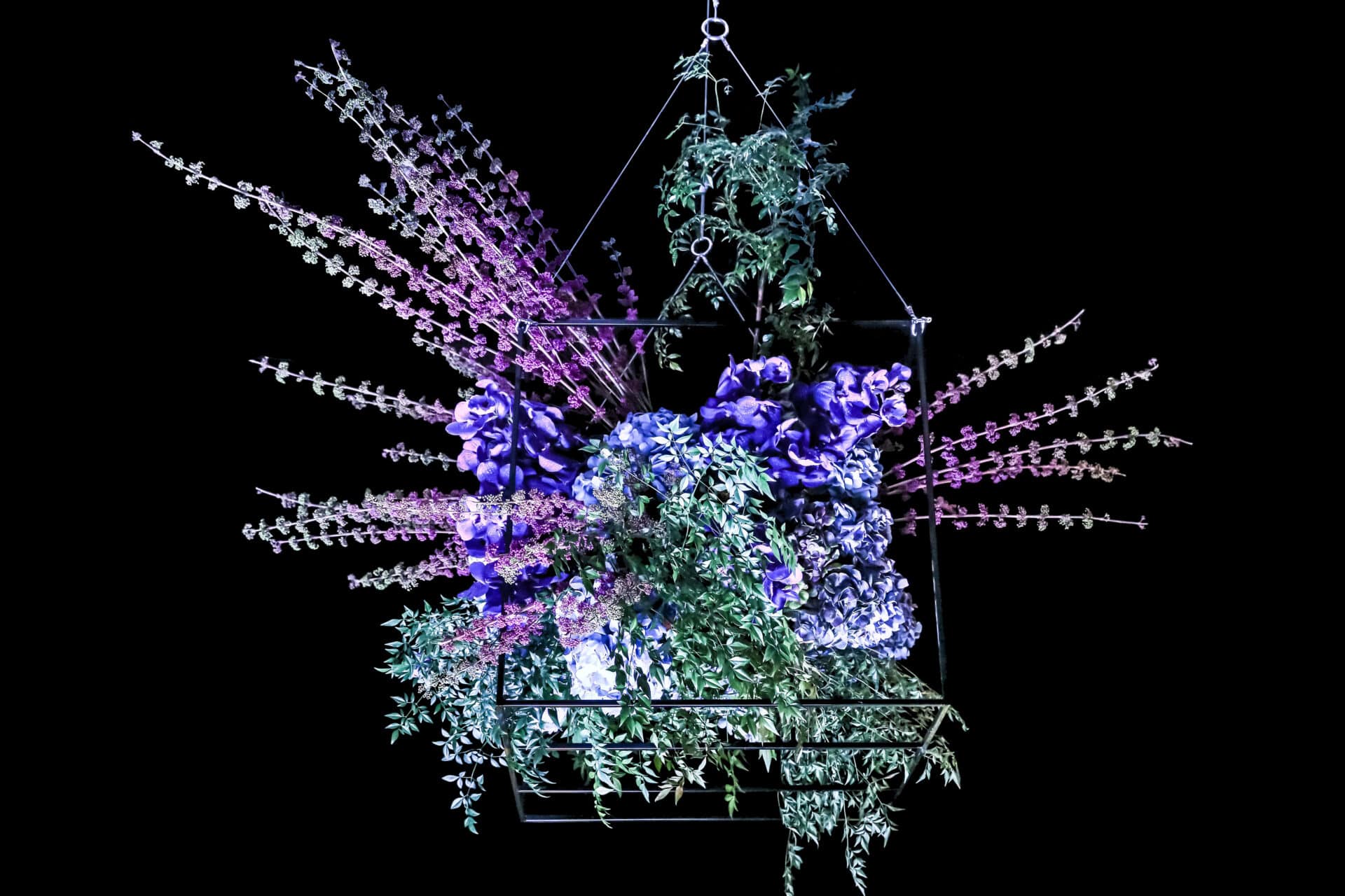 Immersive event environment created for Panasonic Home Entertainment range